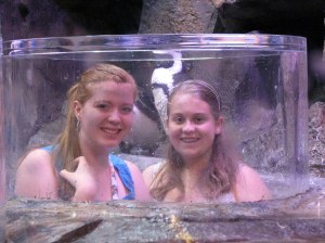 At the Georgia Aquarium