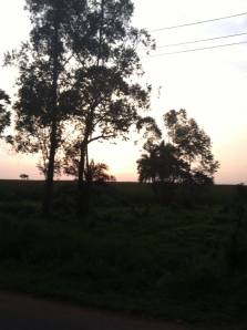 Sunset driving home from Jinja!